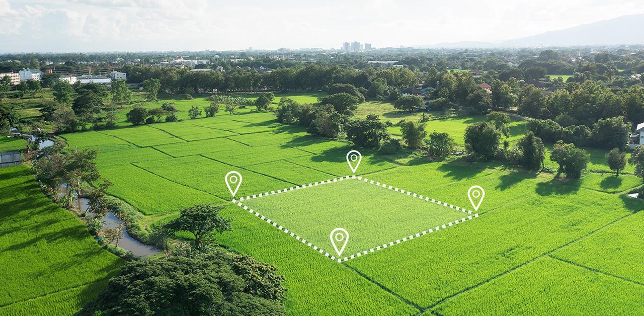 Berapa Harga Tanah 1 Hektar? Ini Penjelasannya - Sinar Mas Land