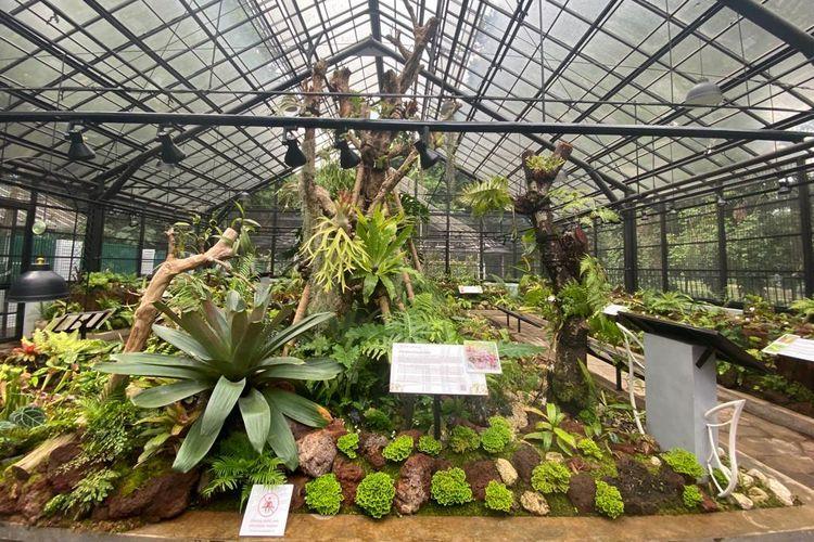 6 Tempat Wisata Dekat Stasiun Bogor yang Paling Hits - Sinar Mas Land