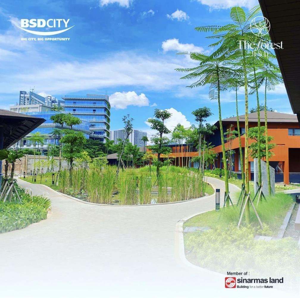 The Forest BSD City