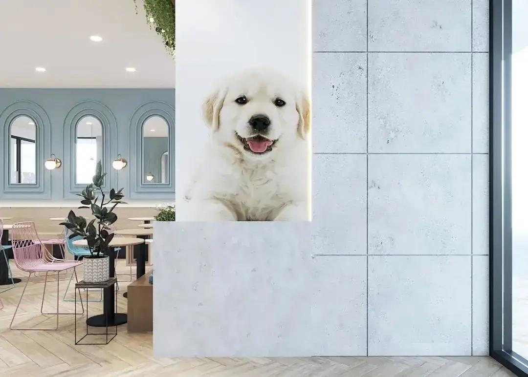 titip anabul jakarta barat, dog hotel jakarta barat, social dog aerium
