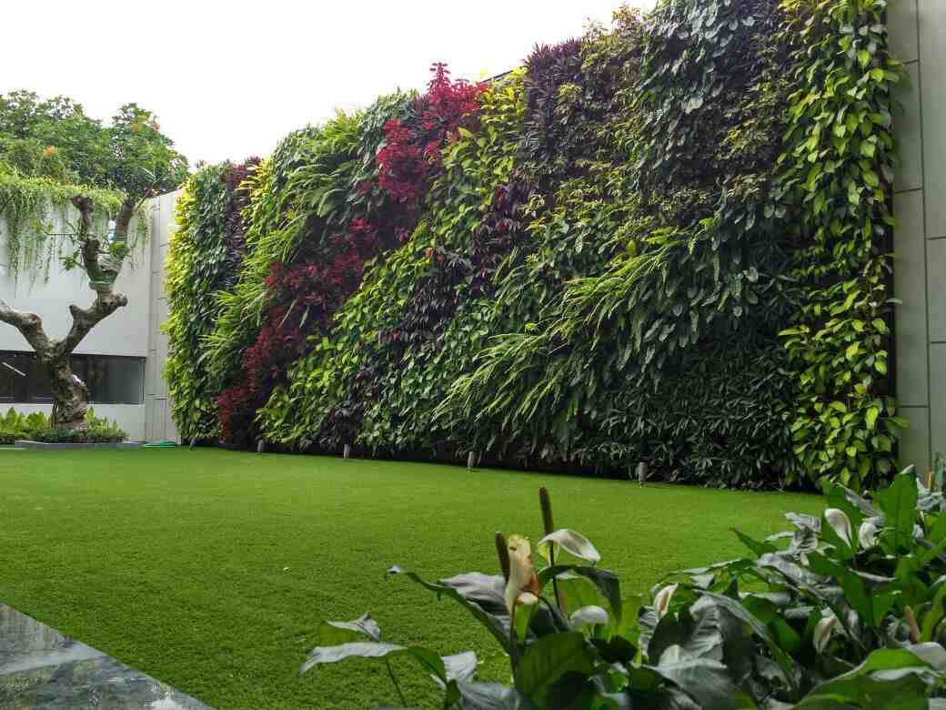 Apa Itu Vertical Garden? Intip Cara Membuatnya Disini!