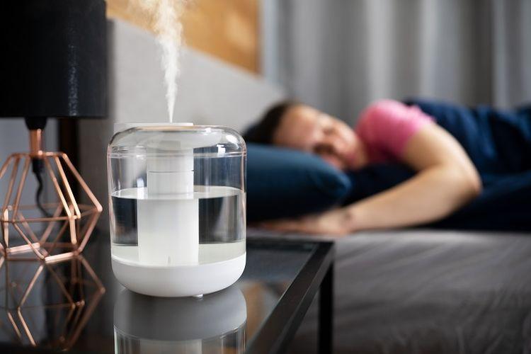 perbedaan, Humidifier, Diffuser, Dehumidifier, Purifier, kualitas udara, fungsi, manfaat