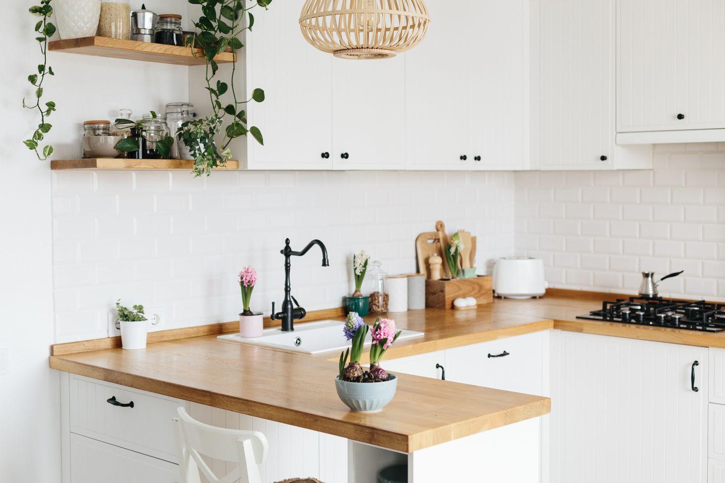 dapur minimalis, cara membasmi semut, dapur