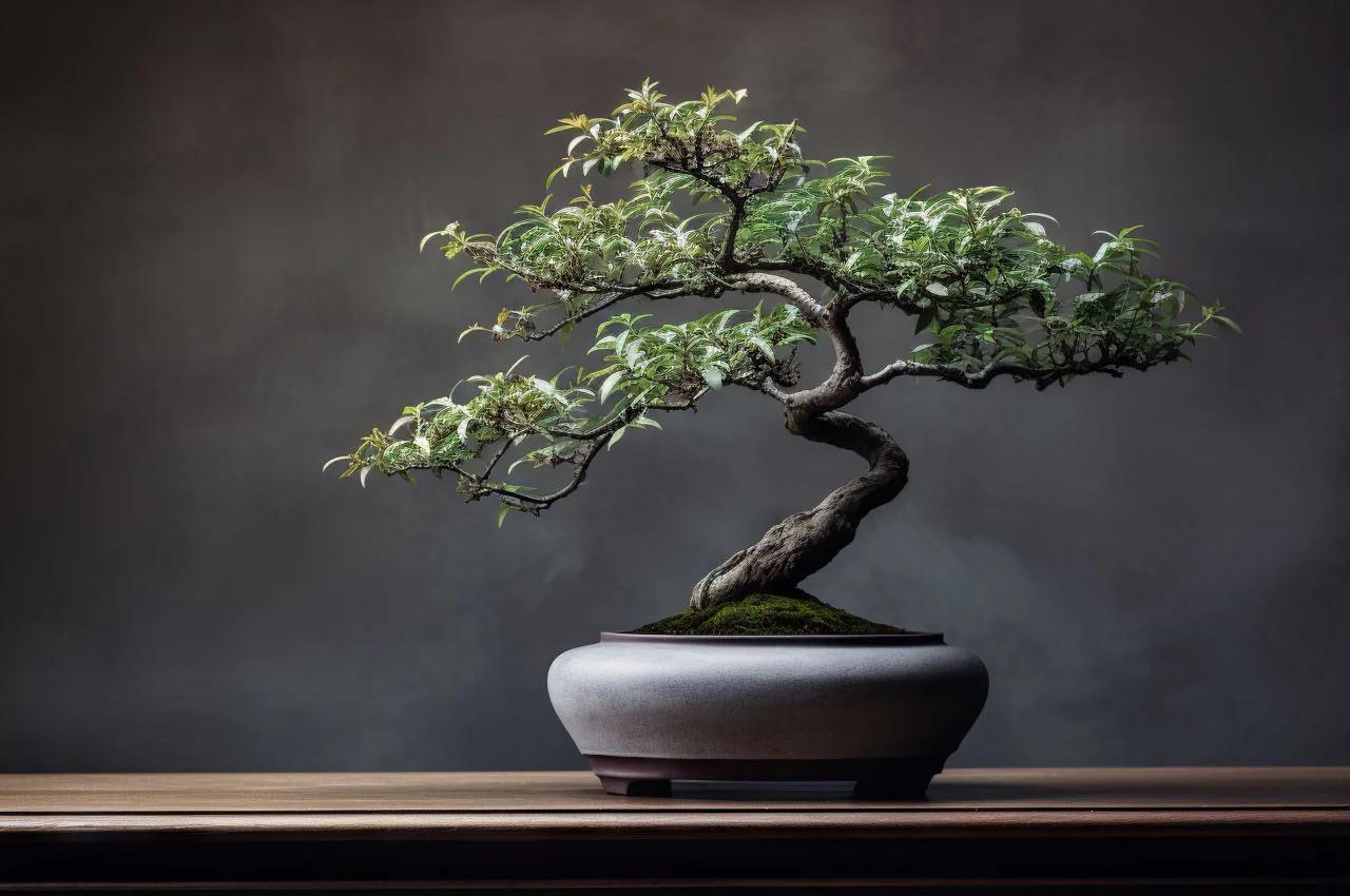 Begini Cara Membuat Bonsai yang Cantik. Bisa Dicoba di Rumah!