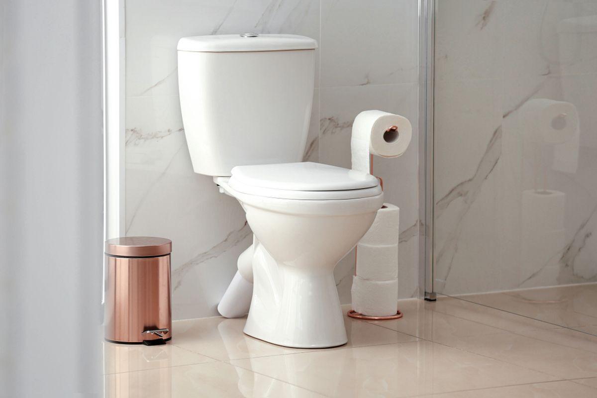 Cara Ideal Memilih Toilet Duduk Yang Benar