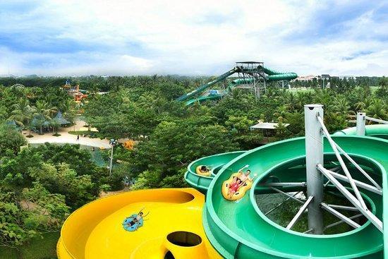 3 Rekomendasi Kolam Renang di Jakarta Barat Terbaik 2025 - Sinar Mas Land