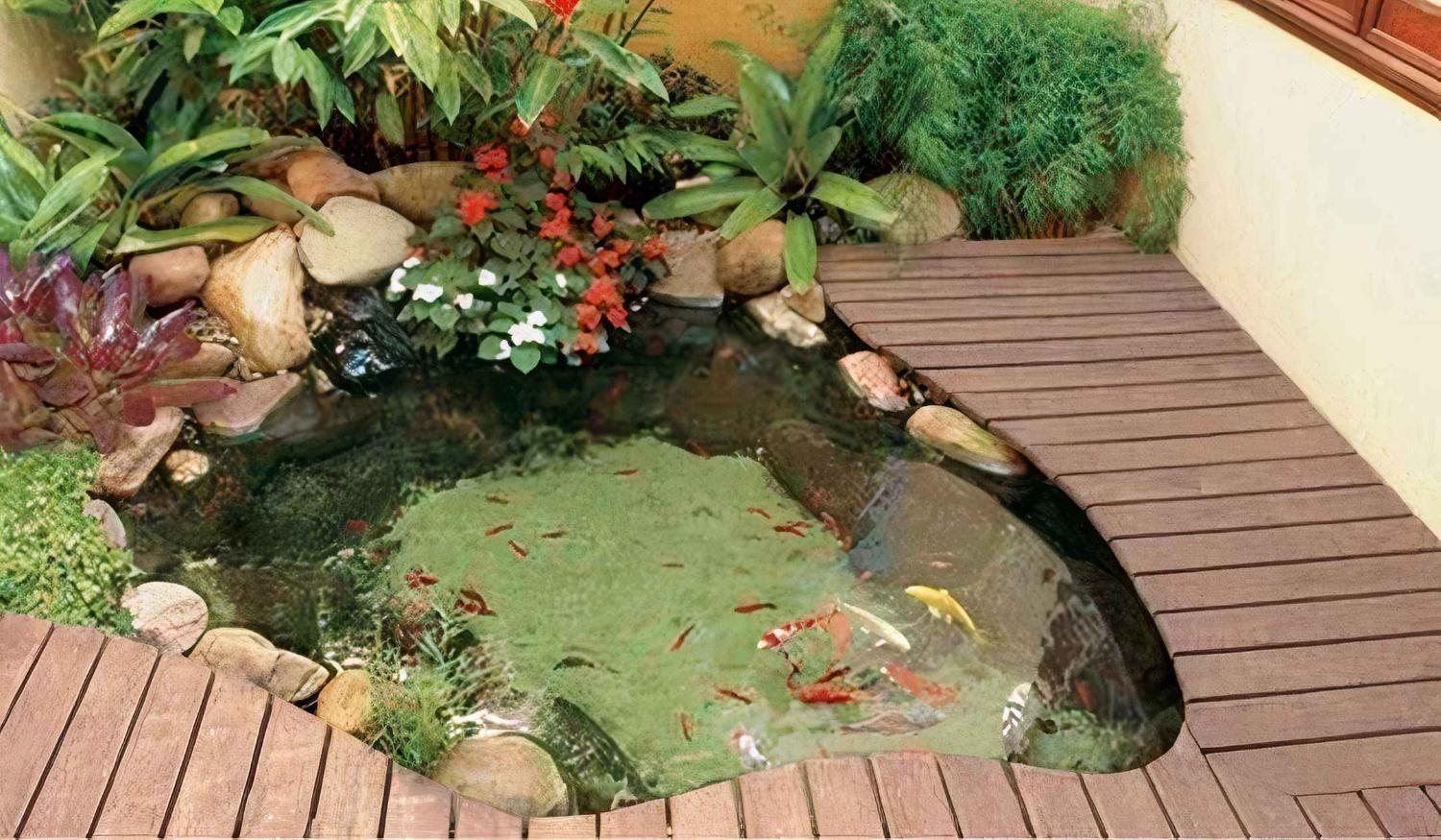 5 Desain Kolam Ikan Minimalis Cantik di Halaman Rumah - Sinar Mas Land