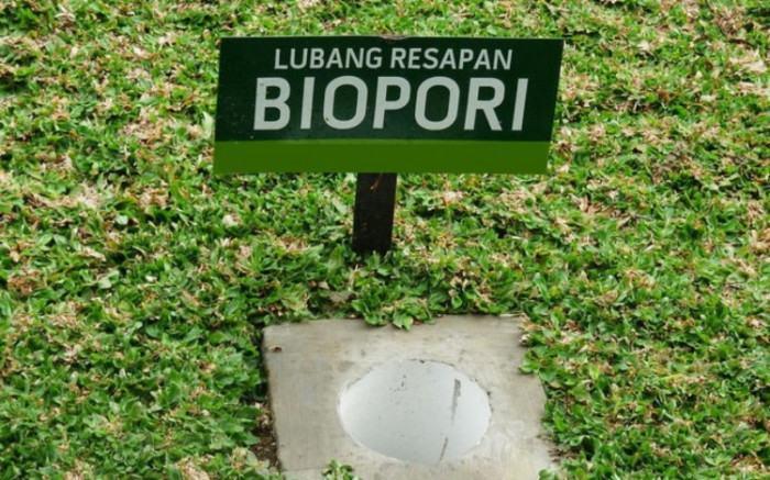 Manfaat Biopori - Sinar Mas Land