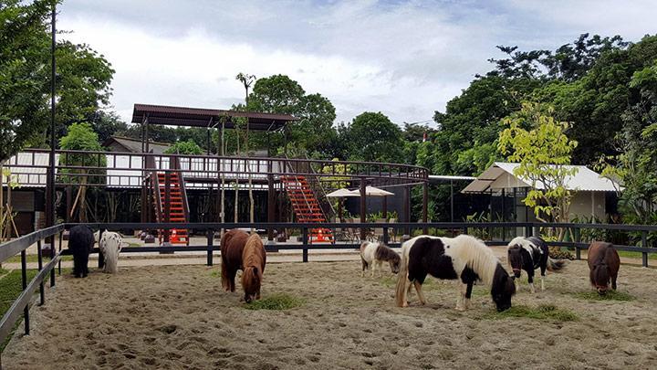 Rekomendasi Liburan Akhir Tahun Seru di BSD untuk Keluarga - Sinar Mas Land