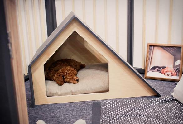 desain rumah anjing minimalis