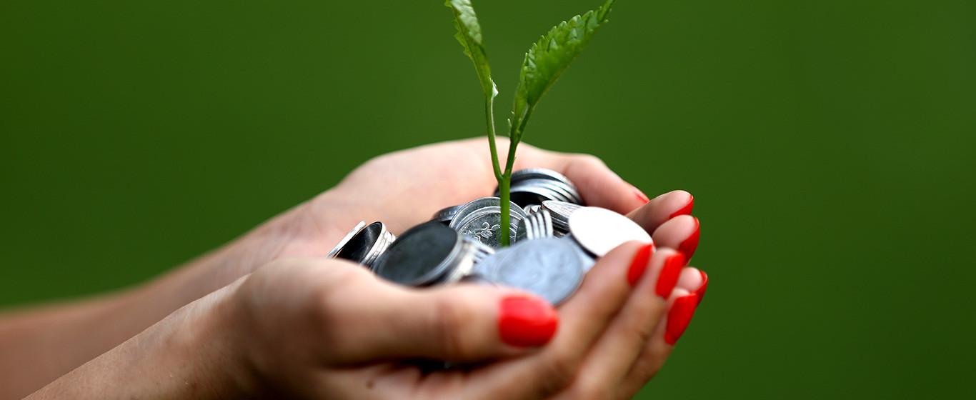 Seberapa Penting Sih Investasi? dan Apa Saja Jenisnya