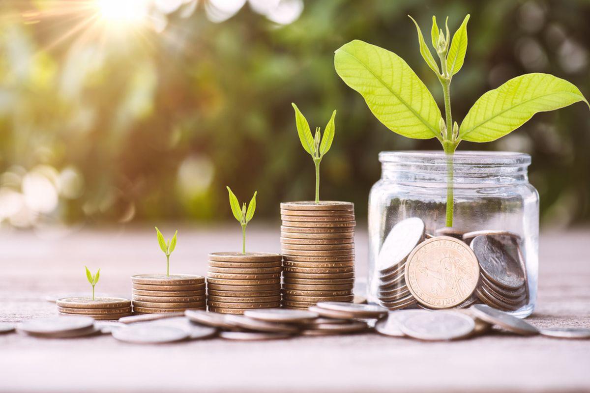 tips investasi cuan, investasi, investasi cuan